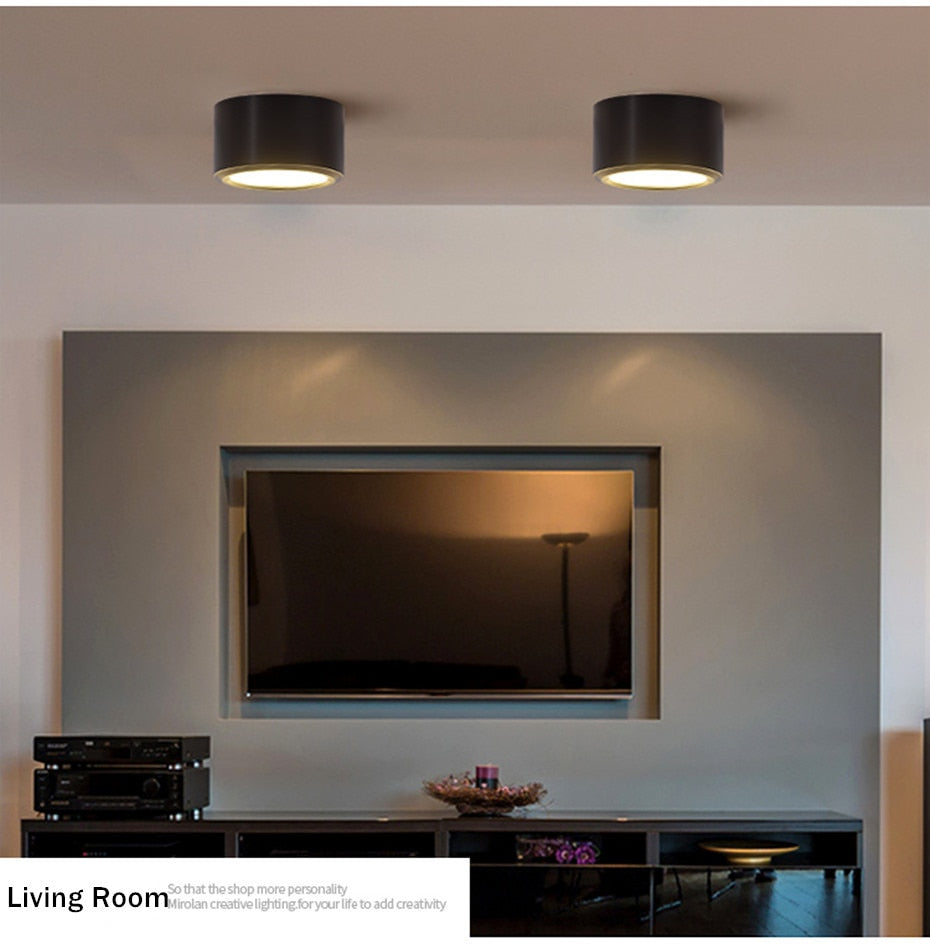 Surface Mounted LED Ceiling Light Living Room Lighting Fixture Bedroom Kitchen Light 5W 7W 10W 12W LED Spot Light for Home