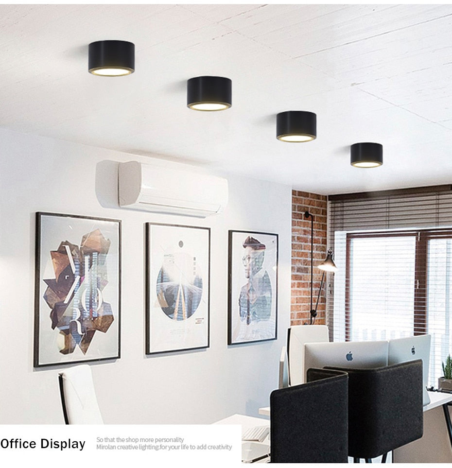 Surface Mounted LED Ceiling Light Living Room Lighting Fixture Bedroom Kitchen Light 5W 7W 10W 12W LED Spot Light for Home