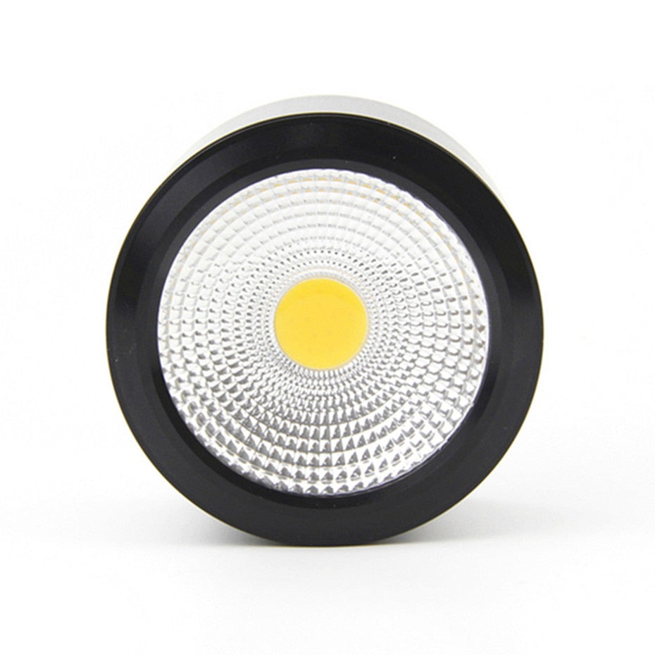 Surface Mounted LED Ceiling Light Living Room Lighting Fixture Bedroom Kitchen Light 5W 7W 10W 12W LED Spot Light for Home
