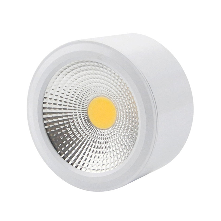 Surface Mounted LED Ceiling Light Living Room Lighting Fixture Bedroom Kitchen Light 5W 7W 10W 12W LED Spot Light for Home