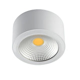 Surface Mounted LED Ceiling Light Living Room Lighting Fixture Bedroom Kitchen Light 5W 7W 10W 12W LED Spot Light for Home