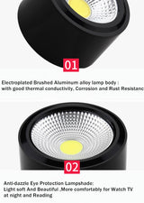Surface Mounted LED Ceiling Light Living Room Lighting Fixture Bedroom Kitchen Light 5W 7W 10W 12W LED Spot Light for Home