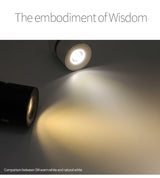 Led Surface Mounted Ceiling Downlight Adjustable 90 degrees Nordic Spot light for indoor Foyer , Living Room AC 90-260V