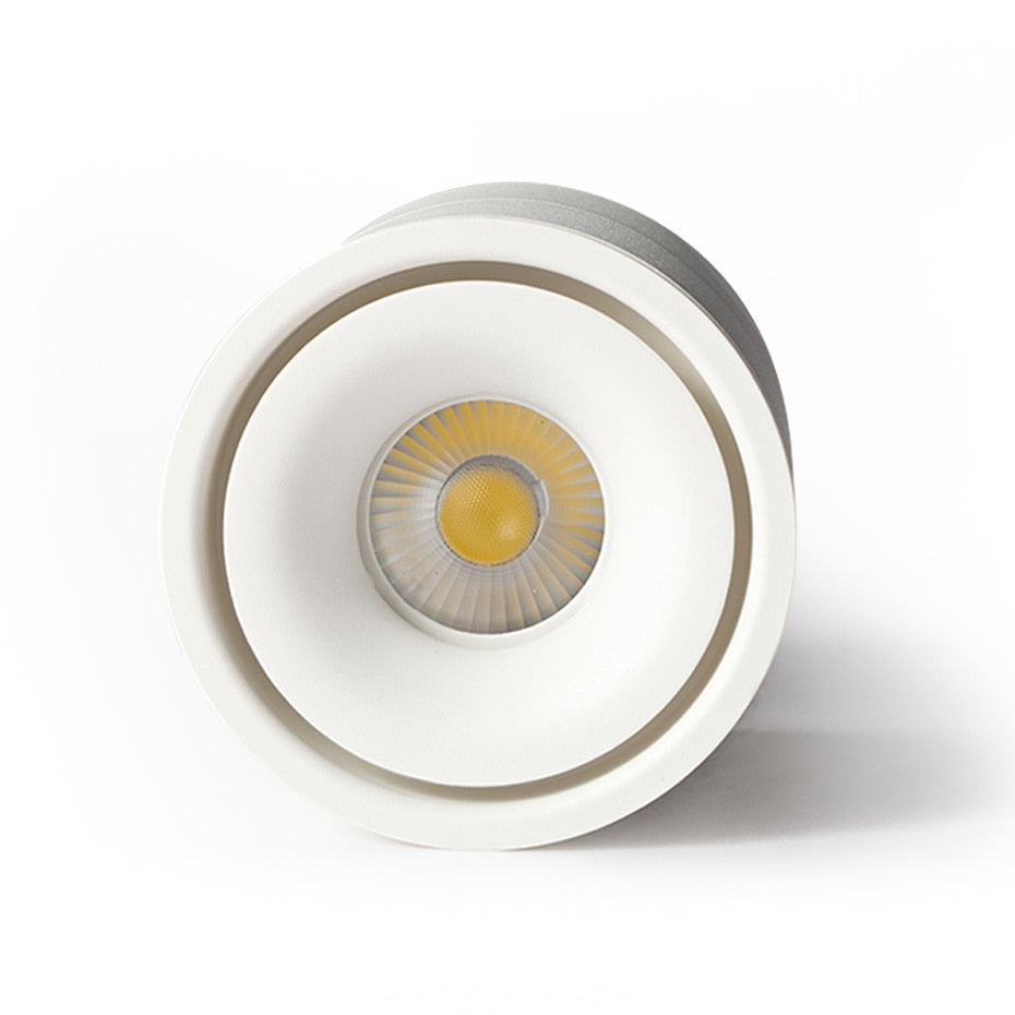 LED Surface Ceiling Light 7W 12W 15W Ceiling Lamp 220V 110V ,Foldable and  Rotatable COB Spot light for Home Decor