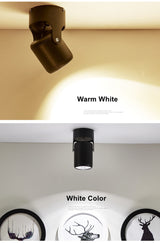 LED Surface Ceiling Light 7W 12W 15W Ceiling Lamp 220V 110V ,Foldable and  Rotatable COB Spot light for Home Decor