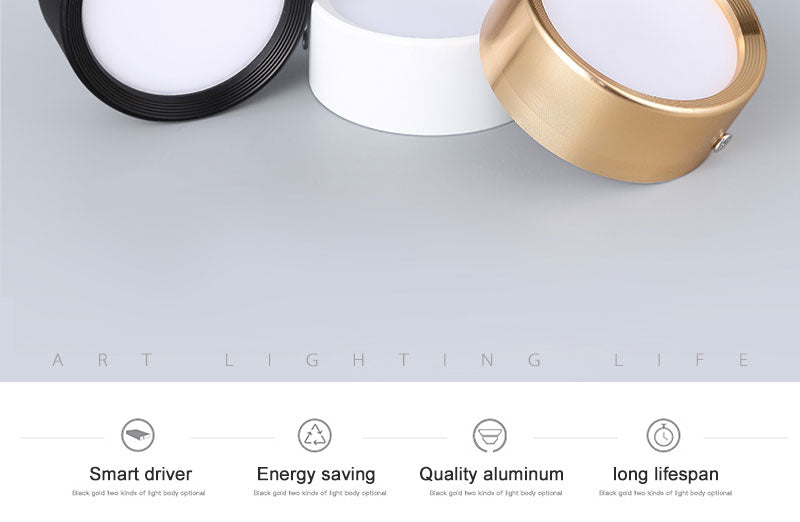 LED downlight 5W 7W 9W 12W 12V Ceiling Lamps Safety Voltage Ultra Thin Driverless led spot lights Ceiling Fixtures Lighting