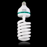 Photography Light Bulb