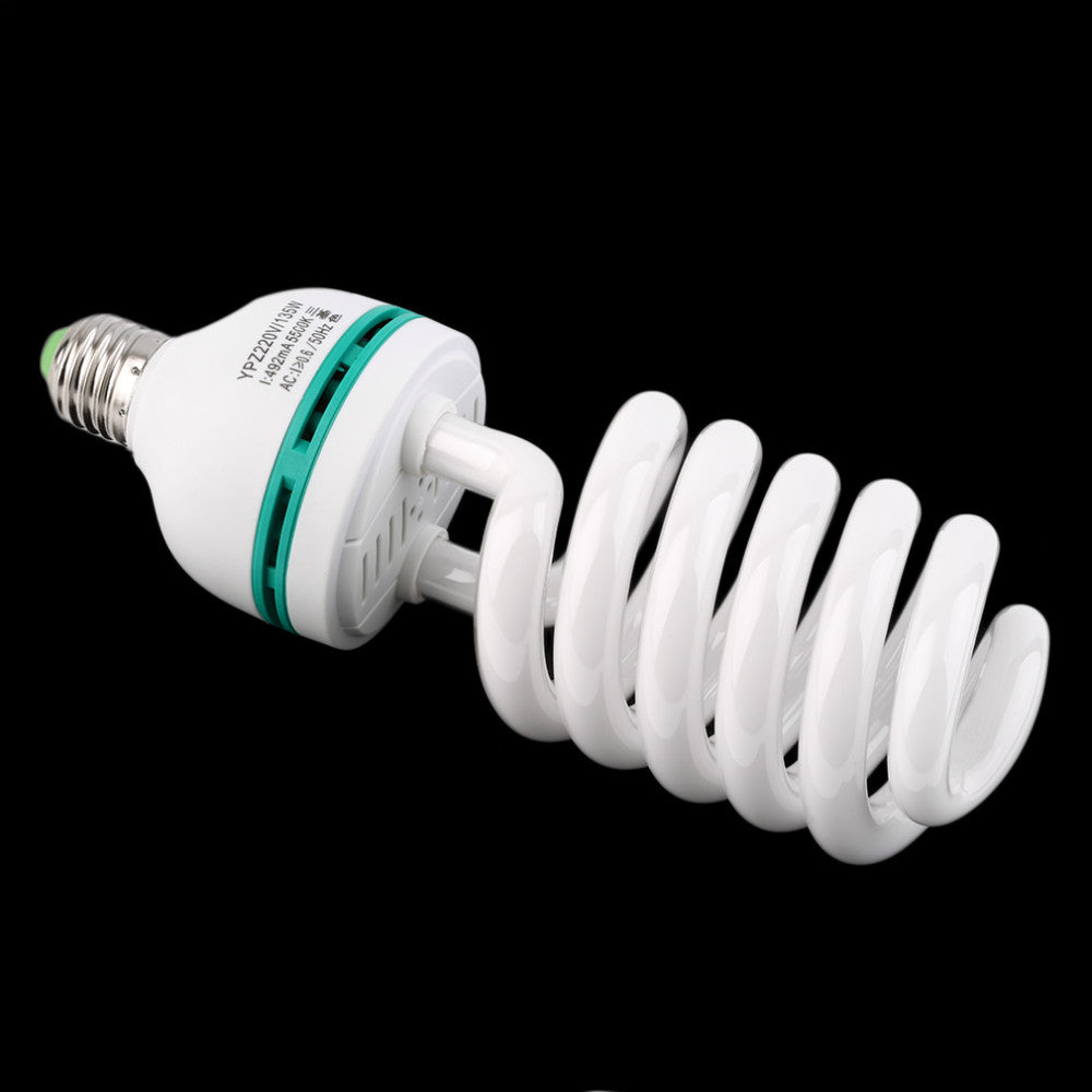 Photography Light Bulb