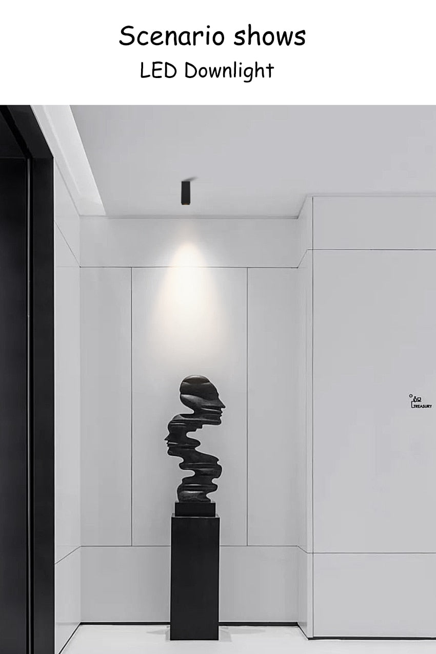 LED Downlight 3W 5W 7W 12W Surface Mounted Ceiling Lamps AC85-260V White/Black Spot Light for Living Room Bedroom Hallway BL900