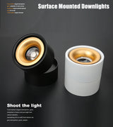 COB LED Downlight Surface Mounted Ceiling Lamps Foldable and 360 Degree Rotatable Spot light for Living Room Bedroom Hallway