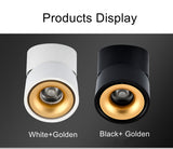 COB LED Downlight Surface Mounted Ceiling Lamps Foldable and 360 Degree Rotatable Spot light for Living Room Bedroom Hallway