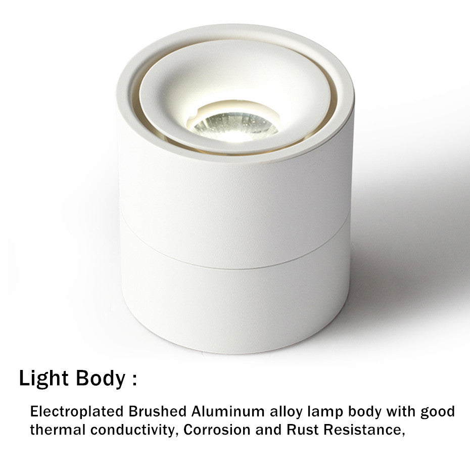 COB LED Downlight Surface Mounted Ceiling Lamps Foldable and 360 Degree Rotatable Spot light for Living Room Bedroom Hallway