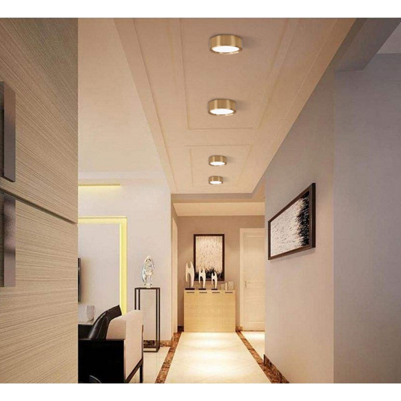 Ultra-thin led downlight 4 Colors 3W 5W 7W 9W 12W 15W 20W Surface Mounted AC220V LED spot lighting Led ceiling lamp Home Decor