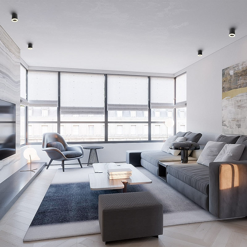 Aisilan Led Surface Mounted Ceiling Downlight for indoor Living room, Bedroom, Kitchen, Bathroom, Corridor Spot light AC90-260V