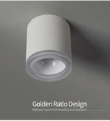 Aisilan Led Surface Mounted Ceiling Downlight for indoor Living room, Bedroom, Kitchen, Bathroom, Corridor Spot light AC90-260V