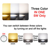 Downlight 3W 5W 3000k 4000k 6500k led Downlight AC 220V-240V led Downlight Kitchen living room Indoor recessed 5Pcs downlight