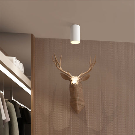  High Brightness Cree LED COB Ceiling Spot Lamp 10W 12W 15W Long Surface Mount Downlight for Indoor Lighting Kitchen Bedroom