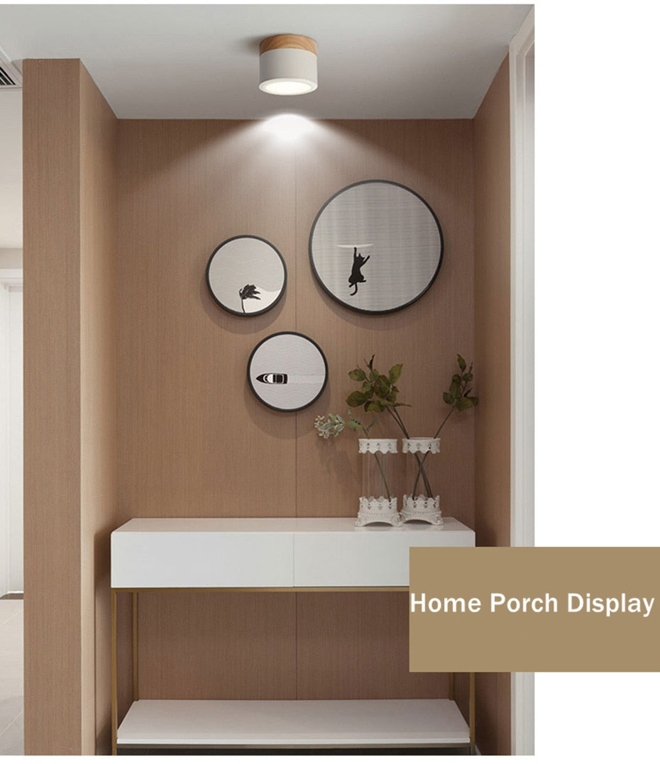 Nordic Led Surface Mounted Downlight Ceiling Lamp Lights Fixture 5W 12W Dimmable AC110V 220V Living Room Foyer Bedroom Spot Lamp