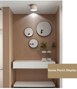 Nordic Led Surface Mounted Downlight Ceiling Lamp Lights Fixture 5W 12W Dimmable AC110V 220V Living Room Foyer Bedroom Spot Lamp