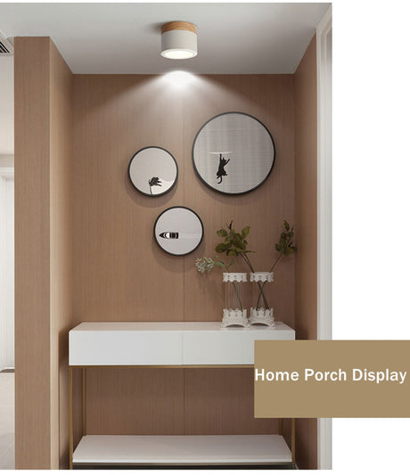 Nordic Led Surface Mounted Downlight Ceiling Lamp Lights Fixture 5W 12W Dimmable AC110V 220V Living Room Foyer Bedroom Spot Lamp