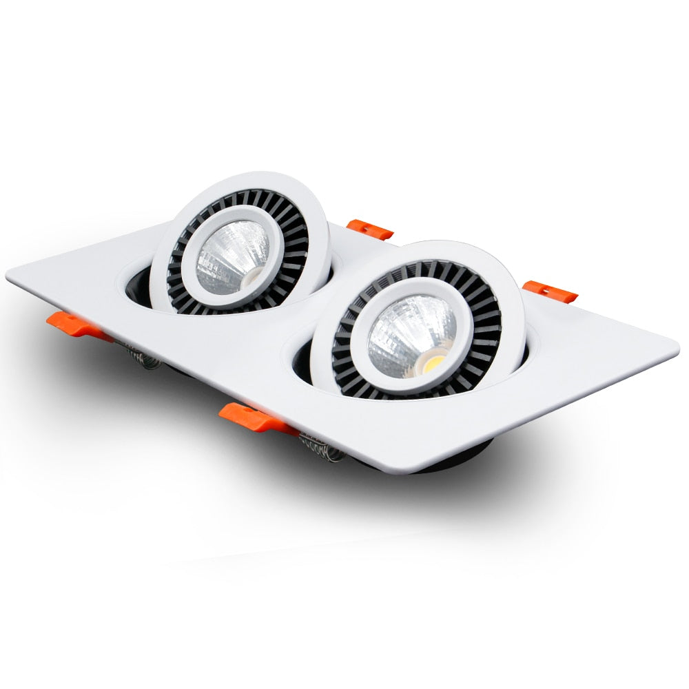 DBF 360 Angle Adjust LED Recessed Downlight 10W 14W 20W 24W LED Ceiling Spot Light 3000K/4000K/6000K Black/White Housing Light