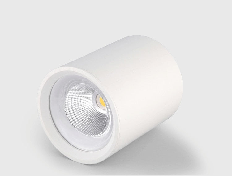 Square White/Black Dimmable Surface Mounted Ceiling Downlight High Power 8W 12W 15W 20W Ceiling Spot Light 3000K/4000K/6000K