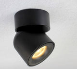 LED Surface Mounted Ceiling Downlight Adjustable 90 degrees Nordic Spotlight for indoor Foyer, Living Room AC 90-260V