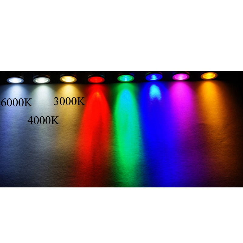 3W Led recessed cabinet mini spot light 110V 220v downlight 12v dc jewelry show Include Led Driver 4000K Ceiling light lamp