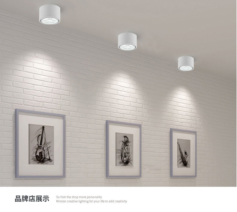 LED Downlight 1pcs surface mounted adjustment LED Dimmable downlight LED COB Spot light Ceiling lamp AC85-265V 6W 10W 14W 18W 24W LED Downlight