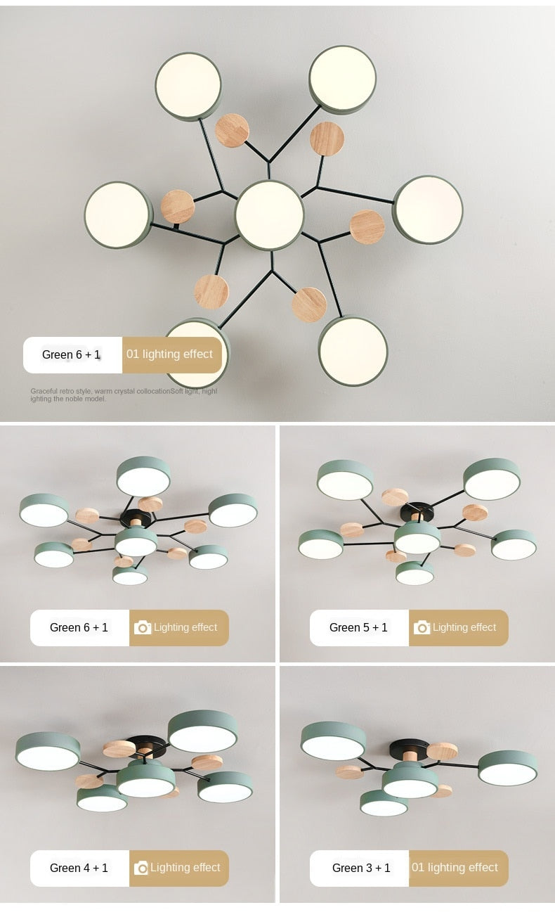 Modern living room LED ceiling lamp bedroom dining room lighting bathroom hotel chandelier factory direct sales