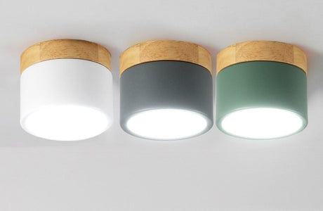 Nordic Led Surface Mounted Downlight Ceiling Lamp Lights Fixture 5W 12W Dimmable AC110V 220V Living Room Foyer Bedroom Spot Lamp