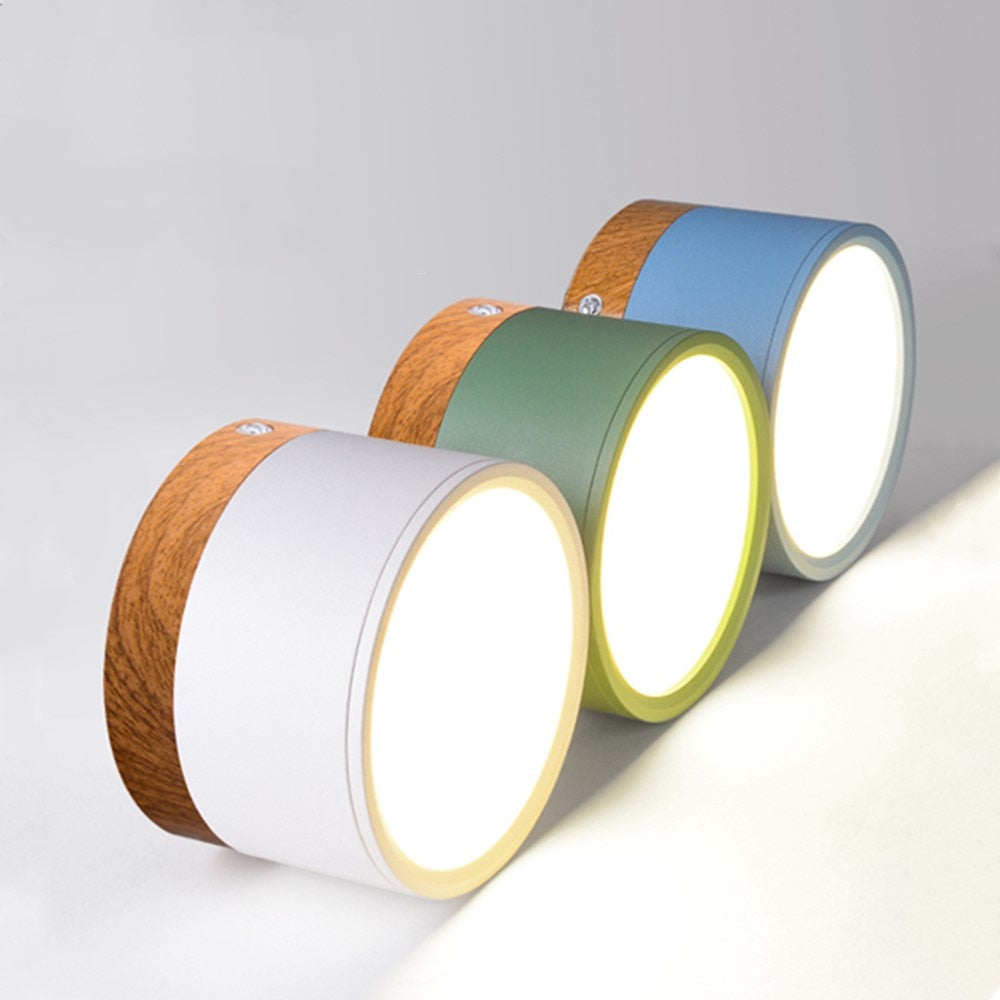 Nordic Led Surface Mounted Downlight Ceiling Lamp Lights Fixture 5W 12W Dimmable AC110V 220V Living Room Foyer Bedroom Spot Lamp