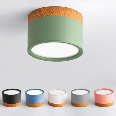 Nordic Led Surface Mounted Downlight Ceiling Lamp Lights Fixture 5W 12W Dimmable AC110V 220V Living Room Foyer Bedroom Spot Lamp