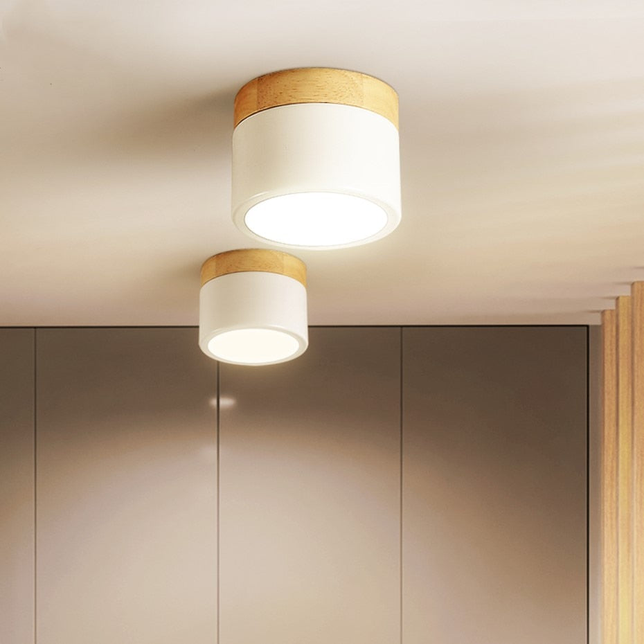 Nordic Led Surface Mounted Downlight Ceiling Lamp Lights Fixture 5W 12W Dimmable AC110V 220V Living Room Foyer Bedroom Spot Lamp