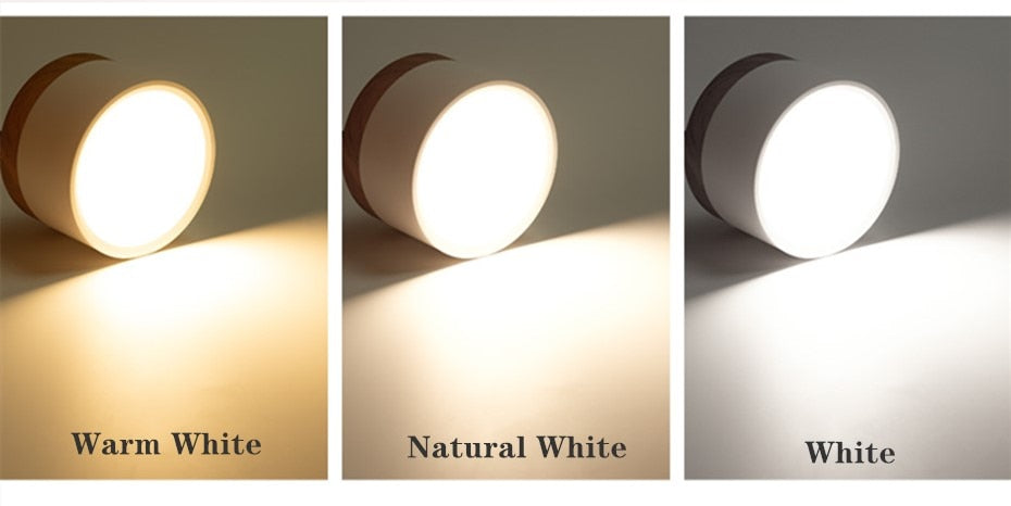 Nordic Led Surface Mounted Downlight Ceiling Lamp Lights Fixture 5W 12W Dimmable AC110V 220V Living Room Foyer Bedroom Spot Lamp