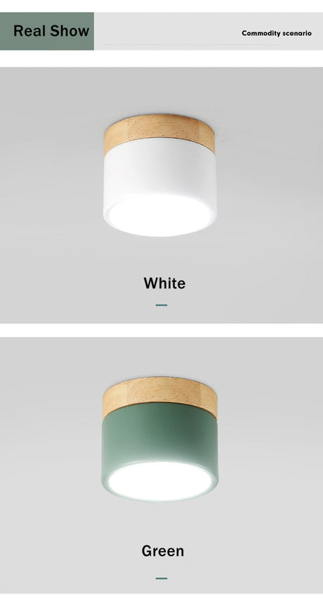 Nordic Led Surface Mounted Downlight Ceiling Lamp Lights Fixture 5W 12W Dimmable AC110V 220V Living Room Foyer Bedroom Spot Lamp