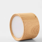 DBF High Bright Ceiling Spot Lights 5W 12W Nordic Wood Surface Mounted Ceiling Spot Light for Ailse Bar Kitchen Indoor Lighting