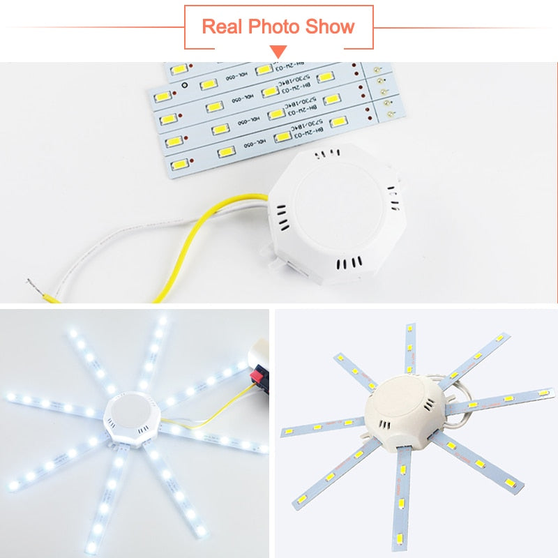 Led Downlight Accessory Octopus Magnetic plate Ring Light Led Lamp 12W 16W 20W 24W 220V For Ceiling Lamp Absorb dome Replace