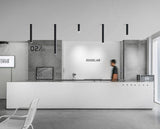 DBF Nordic Europe LED Surface Mounted Ceiling Spot Light 5W White/Black AC85-265V Long Tube Kitchen Bar Living room Home Indoor