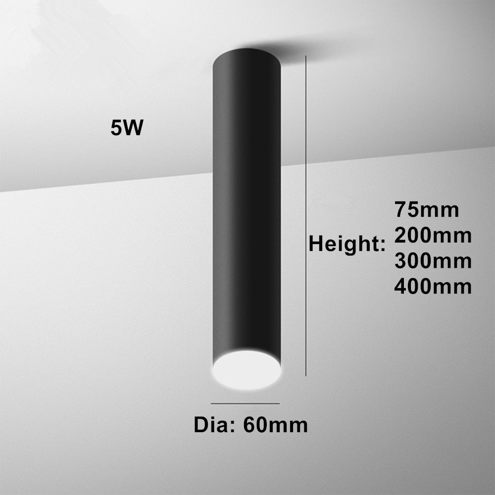 DBF Nordic Europe LED Surface Mounted Ceiling Spot Light 5W White/Black AC85-265V Long Tube Kitchen Bar Living room Home Indoor