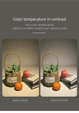 Aisilan LED Recessed 7.5CM hole downlight ceiling spot lighthoneycomb anti-glare adjustable large arc lamp