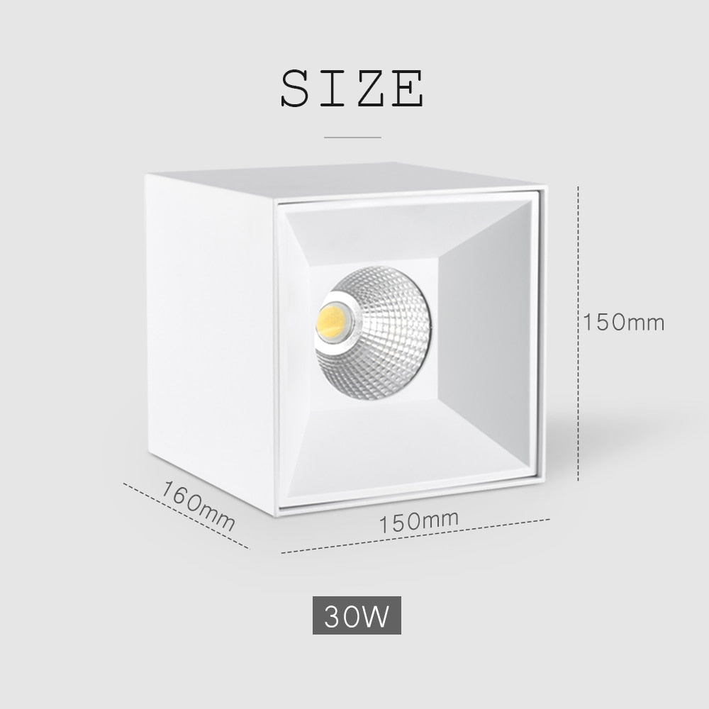 20W 30W Square Ceiling Downlights Living Room Hotel Corridor Office Indoor Lighting 4000K/5000K White LED Ceiling Lamps