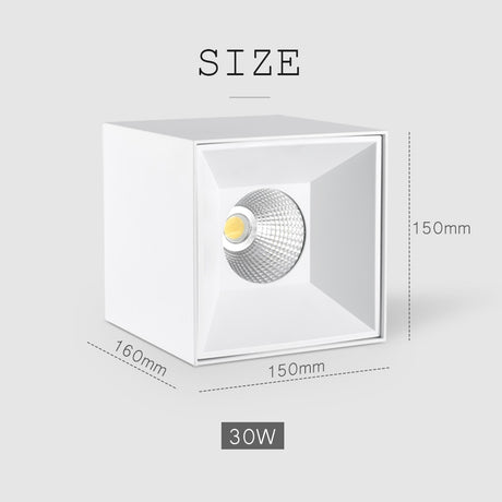 20W 30W Square Ceiling Downlights Living Room Hotel Corridor Office Indoor Lighting 4000K/5000K White LED Ceiling Lamps