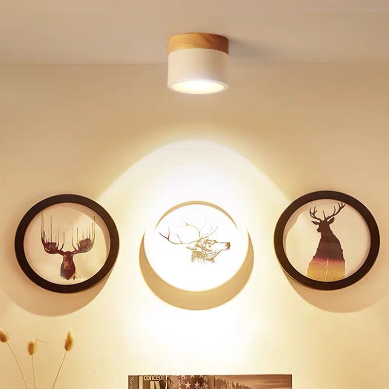 LED Downlight Dimmable 5W 7W 9W 12W 15W Led Surface Mounted Ceiling Downlight Nordic Spot light for indoor Foyer,Living Room