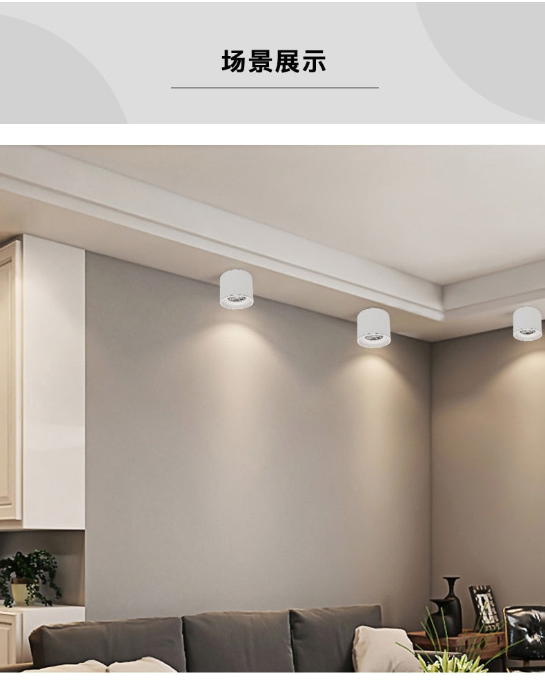 Dimmable LED spotlight 5W 7W 10W 15W 20W 110v/220v downlight angle adjustable ceiling type living room bedroom household spotlight