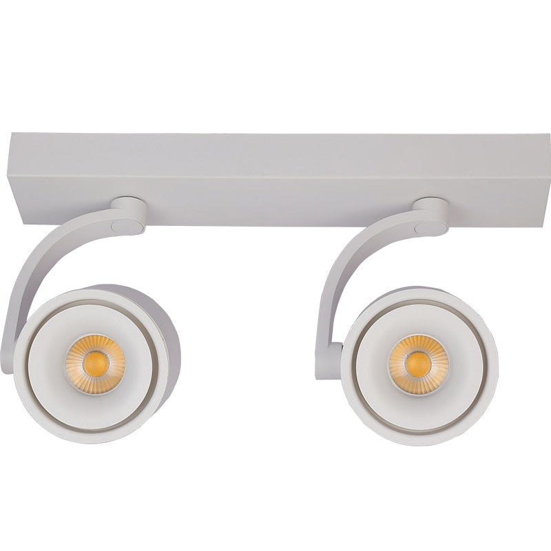 Dimmable LED Wall Mounted Downlight 2X12W 2X15W 2X20W COB Spot light Ceiling Track Lamp Surface Mounted Down light