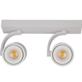 Dimmable LED Wall Mounted Downlight 2X12W 2X15W 2X20W COB Spot light Ceiling Track Lamp Surface Mounted Down light