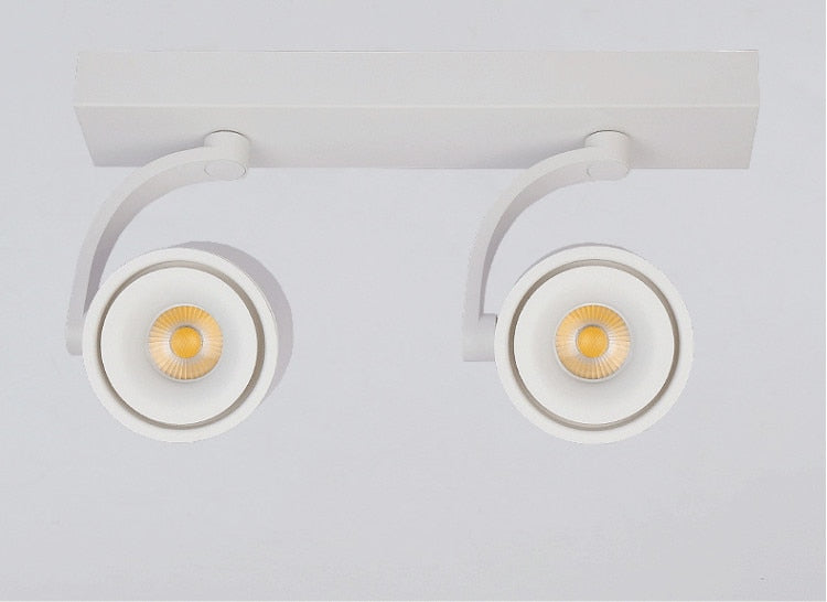 Dimmable LED Wall Mounted Downlight 2X12W 2X15W 2X20W COB Spot light Ceiling Track Lamp Surface Mounted Down light