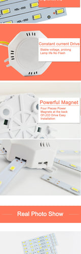 Led Downlight Accessory Octopus Magnetic plate Ring Light Led Lamp 12W 16W 20W 24W 220V For Ceiling Lamp Absorb dome Replace