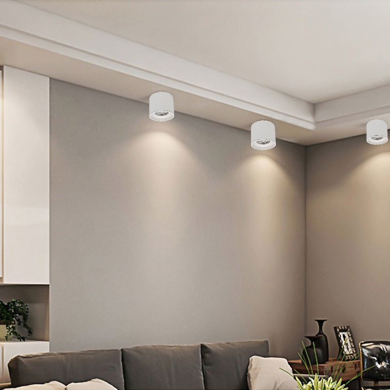 Dimmable LED spotlight 5W 7W 10W 15W 20W 110v/220v downlight angle adjustable ceiling type living room bedroom household spotlight